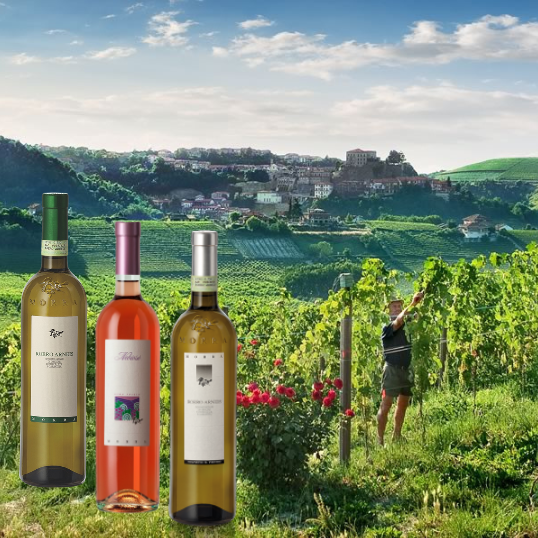 Trio vini "Morra Stefanino" Roero Arneis, Roero Arneis San Pietro, Nebiosè
