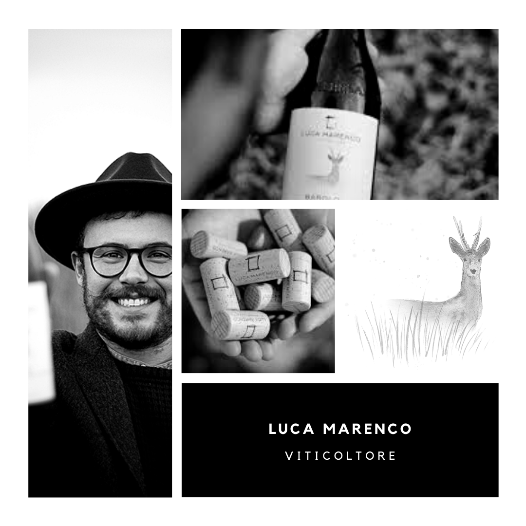 Luca Marenco Box 5 vini  Barolo,Langhe Nebbiolo,Barbera d'Alba,Dolcetto d'Alba,Langhe Nascetta