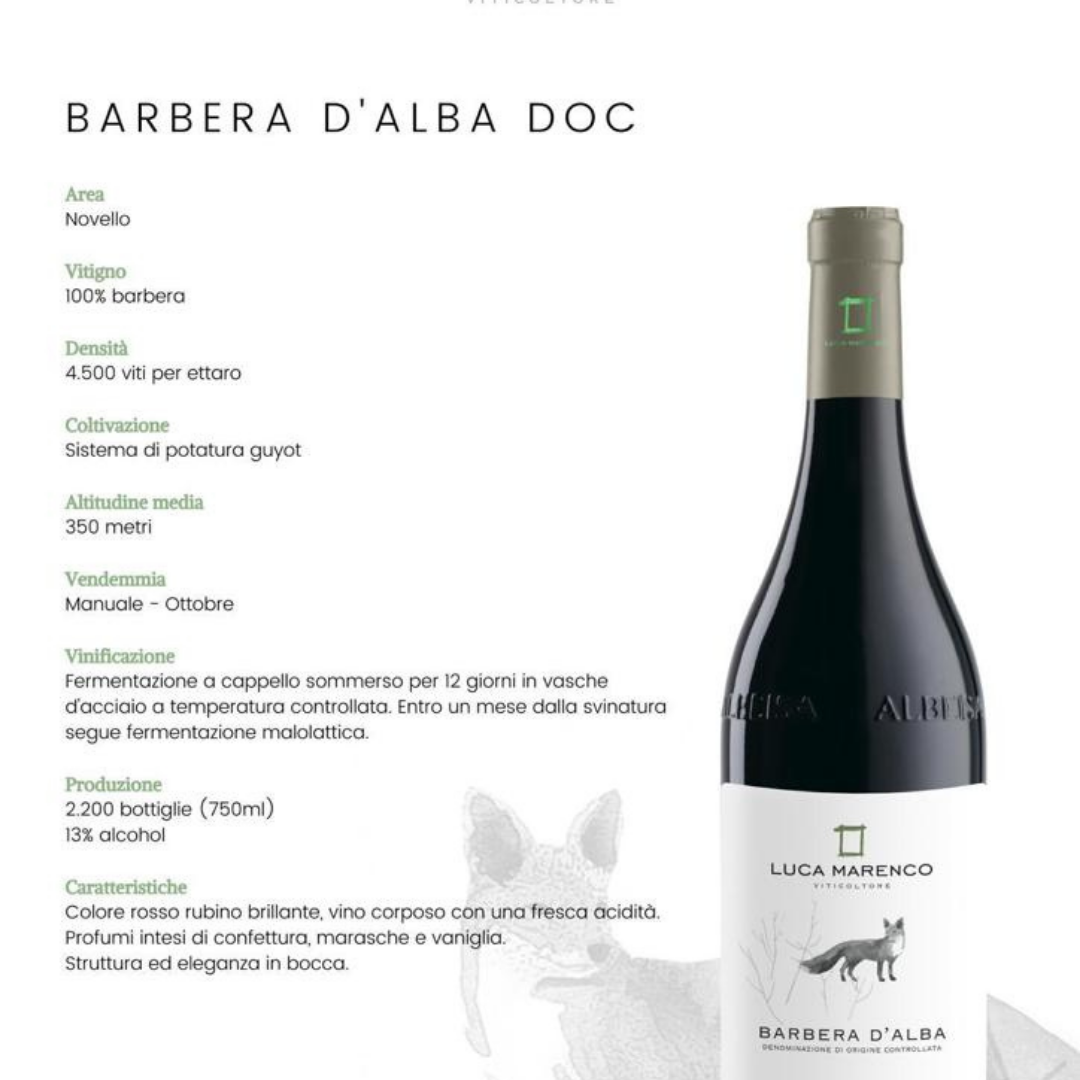 Luca Marenco Box 5 vini  Barolo,Langhe Nebbiolo,Barbera d'Alba,Dolcetto d'Alba,Langhe Nascetta