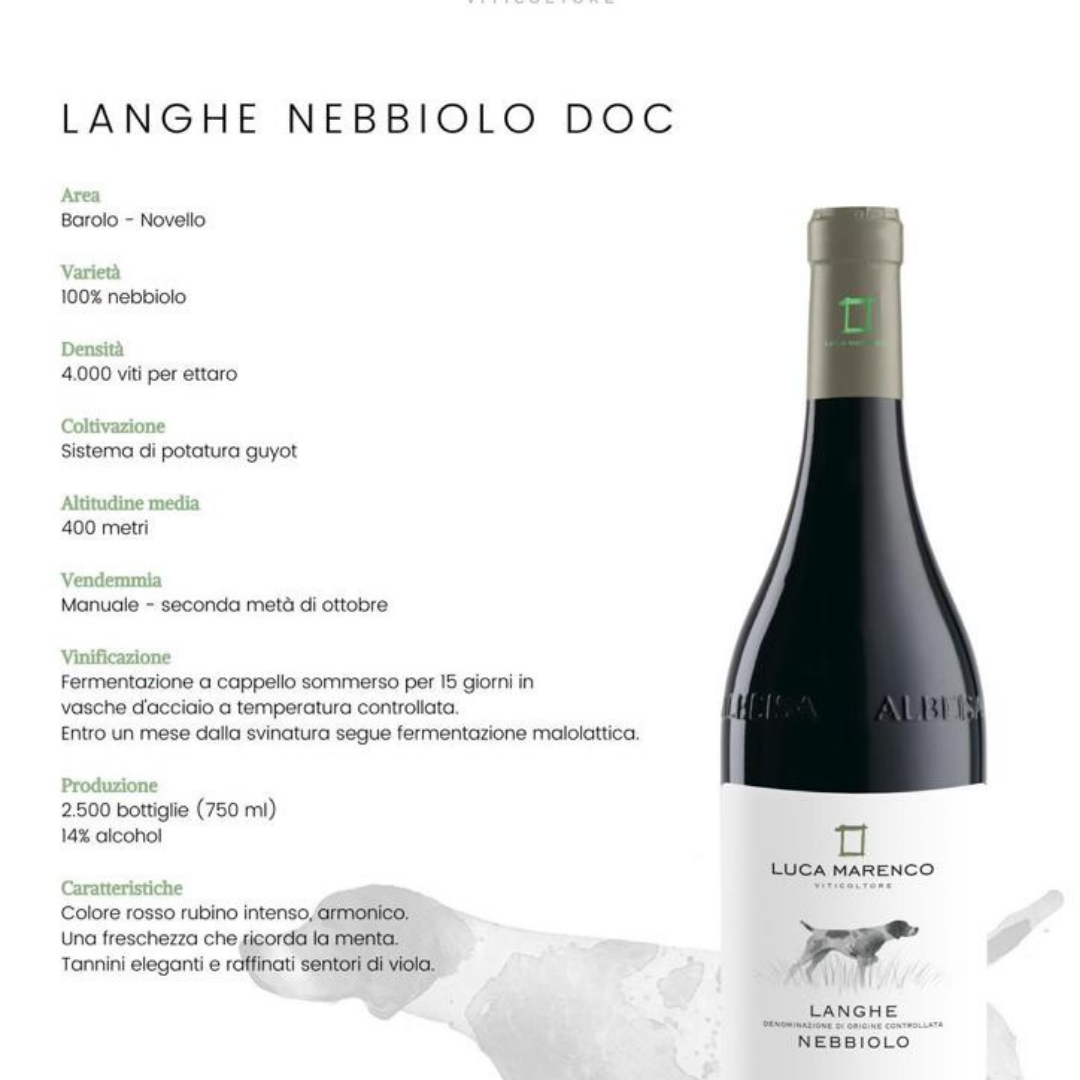 Luca Marenco Box 5 vini  Barolo,Langhe Nebbiolo,Barbera d'Alba,Dolcetto d'Alba,Langhe Nascetta