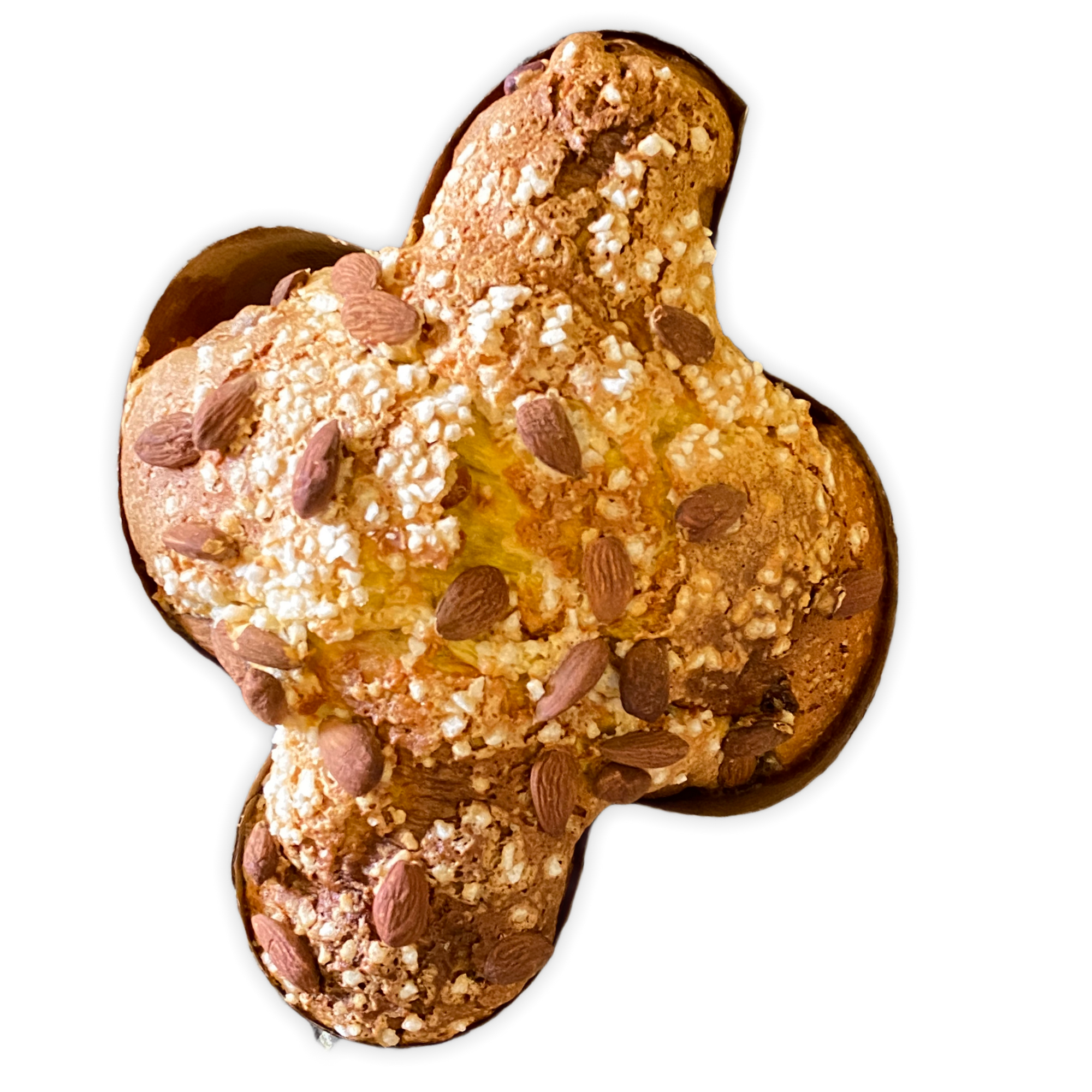 Colomba Pasquale artigianale "classico"